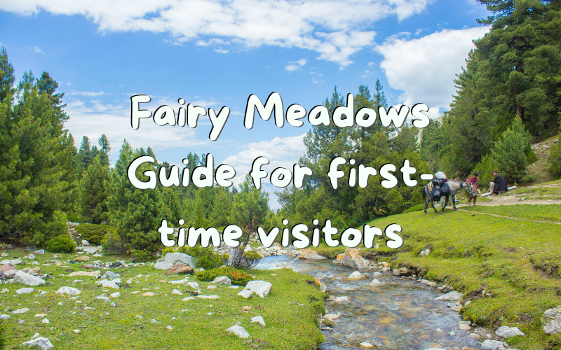 Fairy Meadows Guide: How to Get There & Is It Worth It?